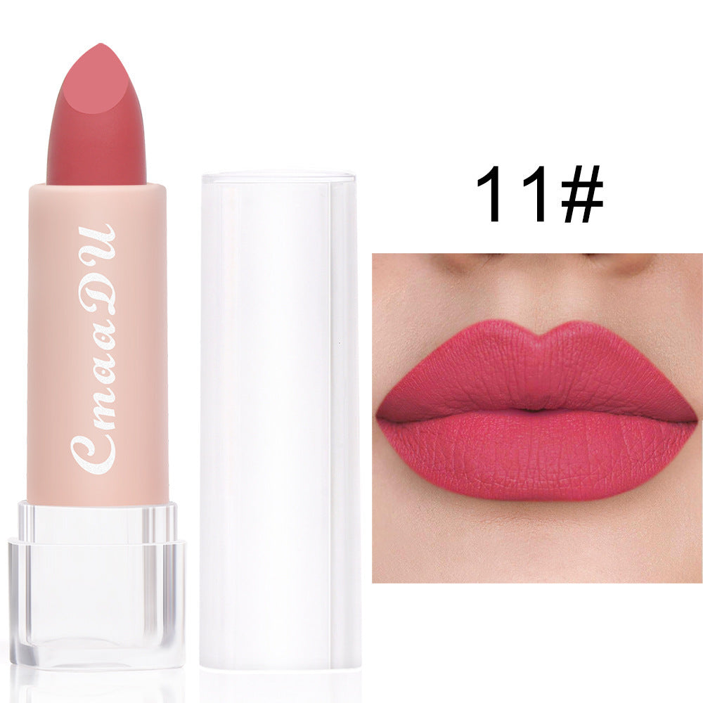 Waterproof Matte Lipstick/ Lip Gloss