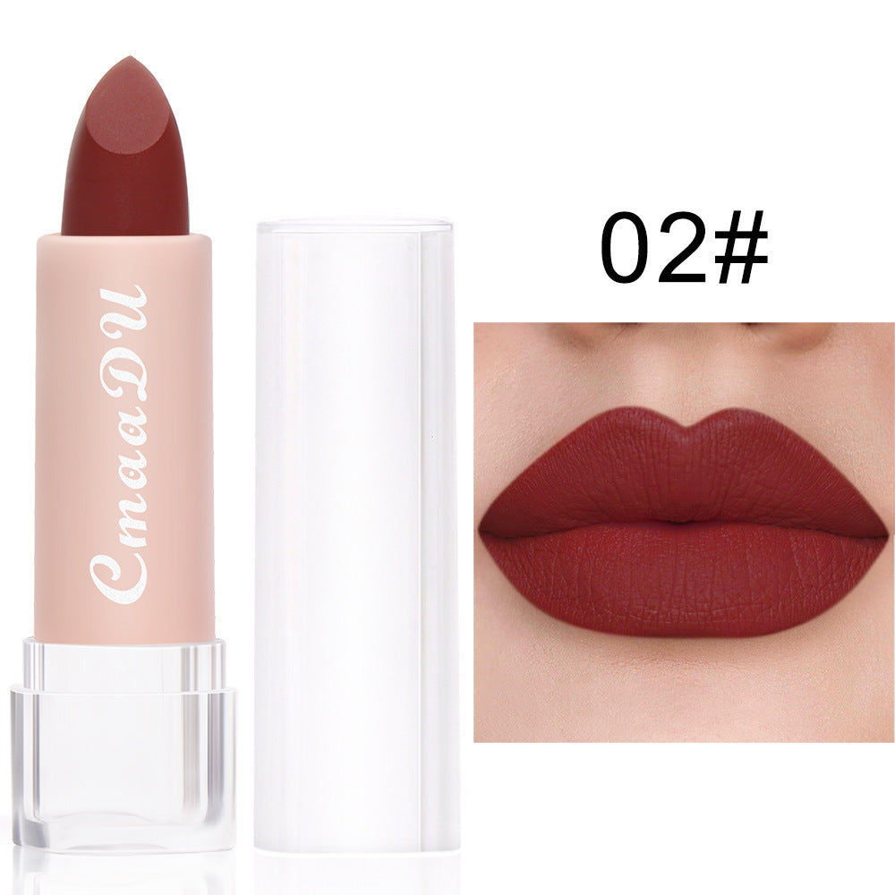 Waterproof Matte Lipstick/ Lip Gloss