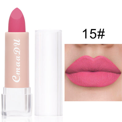 Waterproof Matte Lipstick/ Lip Gloss