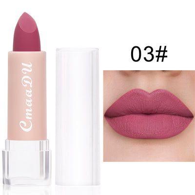 Waterproof Matte Lipstick/ Lip Gloss