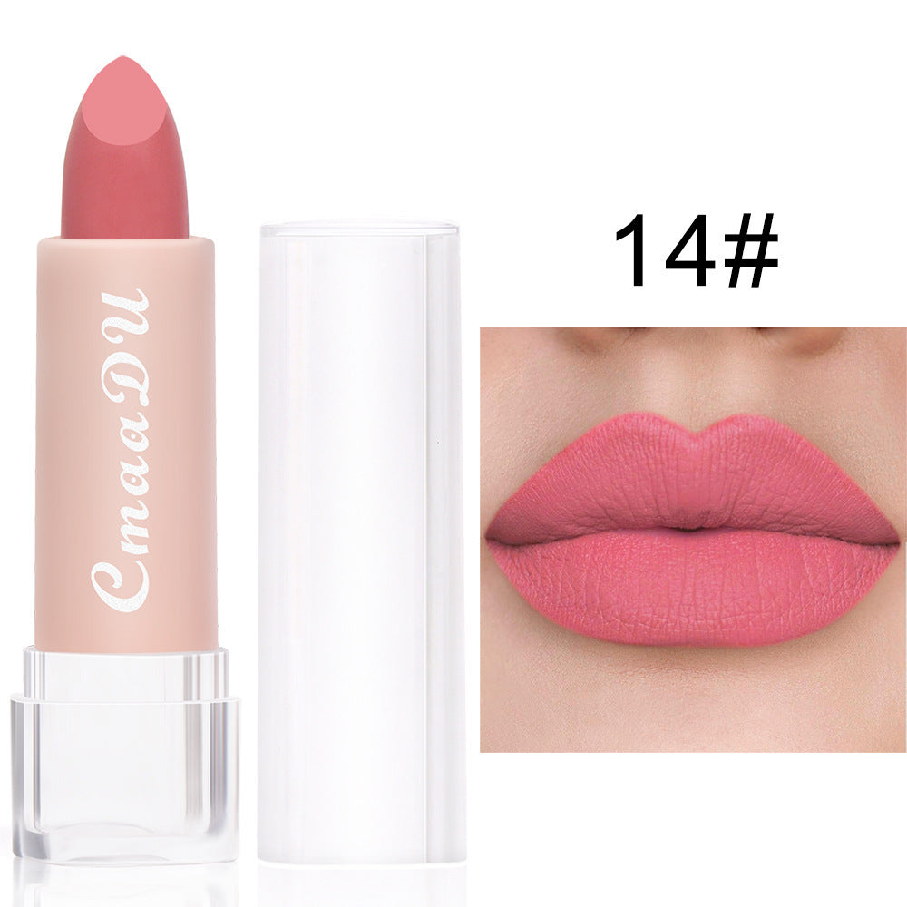 Waterproof Matte Lipstick/ Lip Gloss